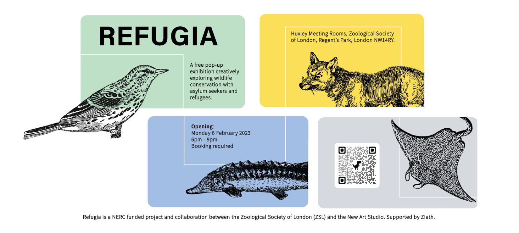 Refugia – Come to our free exhibition on 6th February